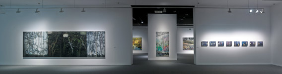 karin kneffel la coruna museo de arte
